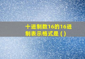 十进制数16的16进制表示格式是 ( )